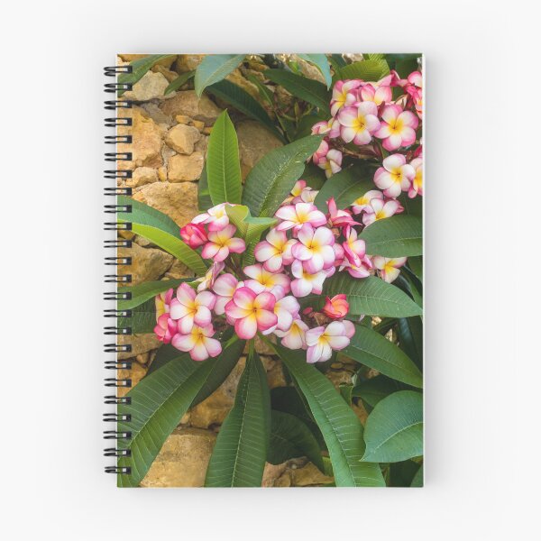Item preview, Pink And White Plumeria (Frangipani) Blooms With Yellow Centers Against Tropical Green Leaves designed and sold by Nmallia.