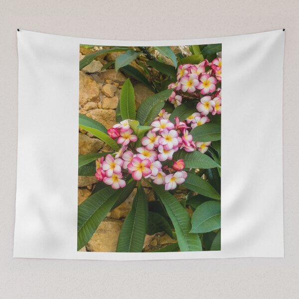 Item preview, Pink And White Plumeria (Frangipani) Blooms With Yellow Centers Against Tropical Green Leaves designed and sold by Nmallia.