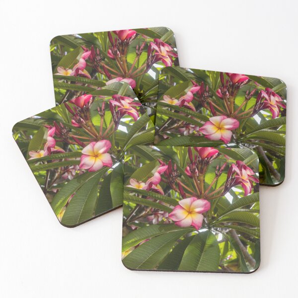 Item preview, Pink And White Plumeria (Frangipani) Blooms With Yellow Centers Against Tropical Green Leaves designed and sold by Nmallia.