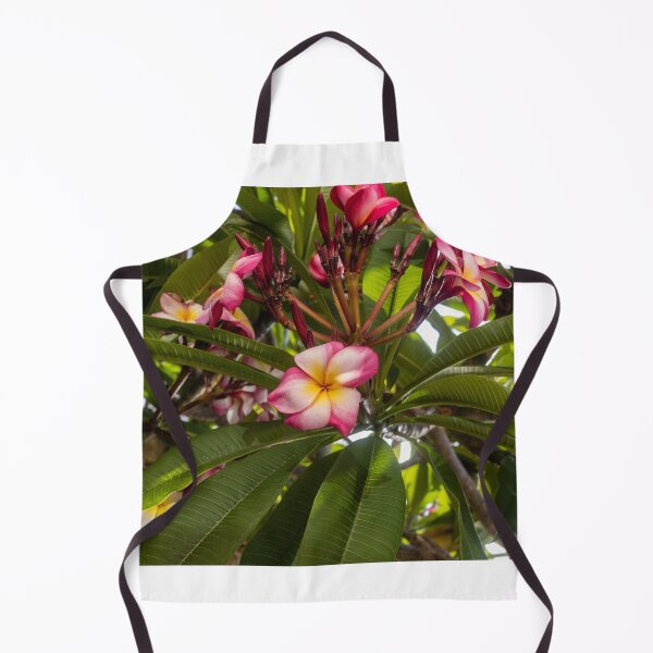 Item preview, Pink And White Plumeria (Frangipani) Blooms With Yellow Centers Against Tropical Green Leaves designed and sold by Nmallia.