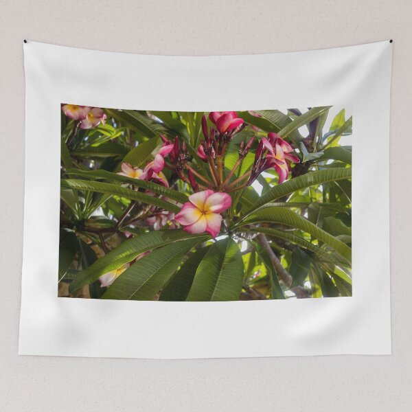 Item preview, Pink And White Plumeria (Frangipani) Blooms With Yellow Centers Against Tropical Green Leaves designed and sold by Nmallia.