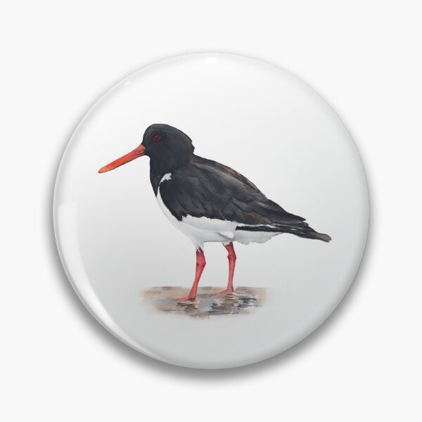 Item preview, Oystercatcher designed and sold by InnaPatiutko.