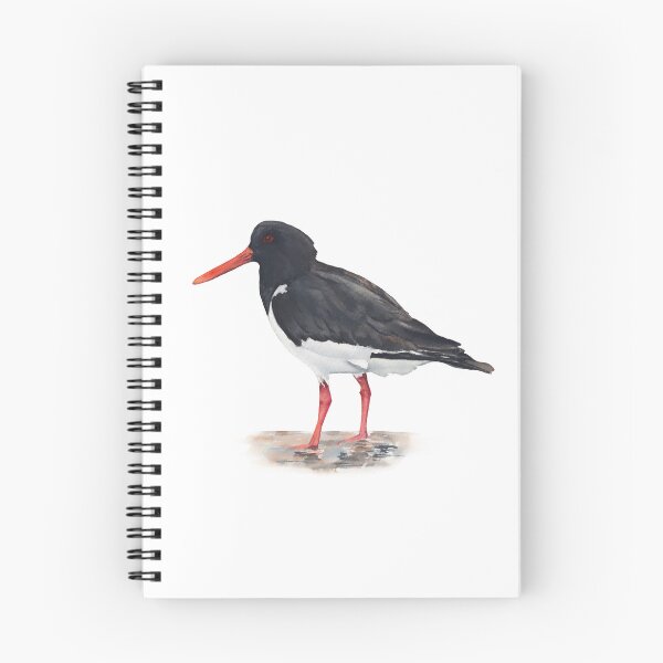 Item preview, Oystercatcher designed and sold by InnaPatiutko.