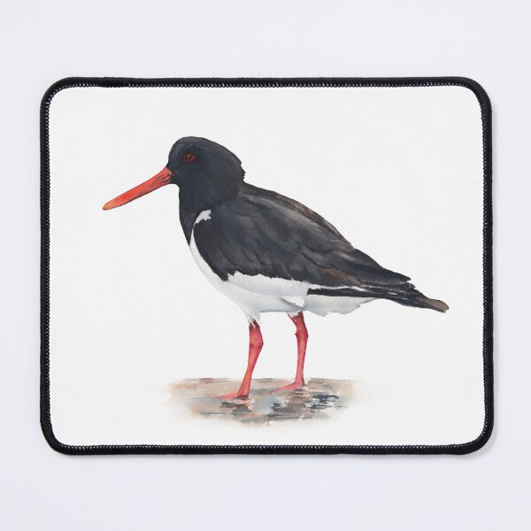 Item preview, Oystercatcher designed and sold by InnaPatiutko.