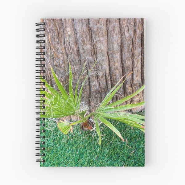Item preview, Closeup of Palm Tree Trunk With New Shoots and Fibrous Leaves on Green Lawn designed and sold by Nmallia.