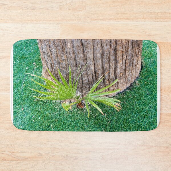 Item preview, Closeup of Palm Tree Trunk With New Shoots and Fibrous Leaves on Green Lawn designed and sold by Nmallia.