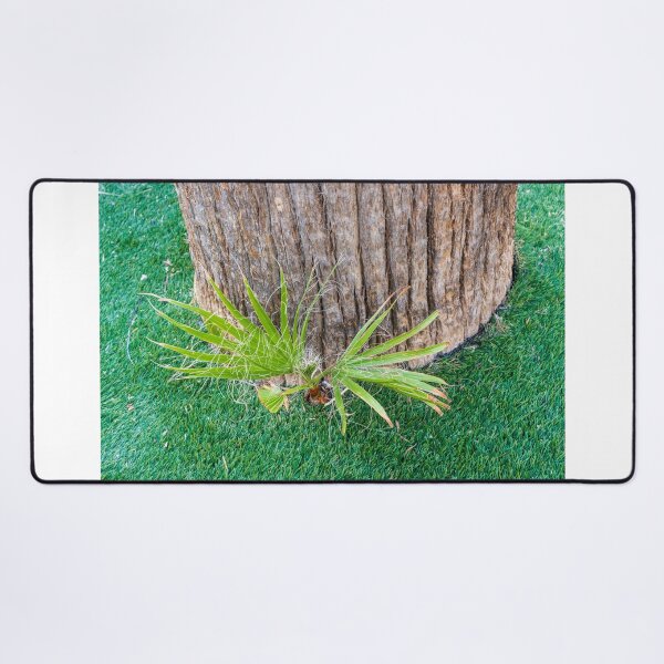 Item preview, Closeup of Palm Tree Trunk With New Shoots and Fibrous Leaves on Green Lawn designed and sold by Nmallia.