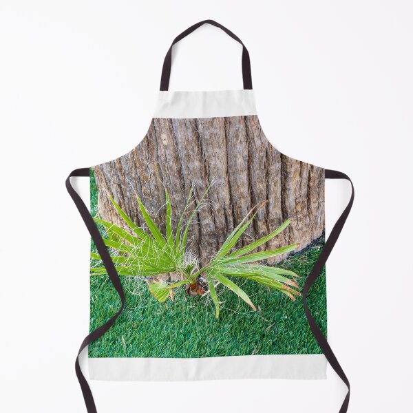 Item preview, Closeup of Palm Tree Trunk With New Shoots and Fibrous Leaves on Green Lawn designed and sold by Nmallia.