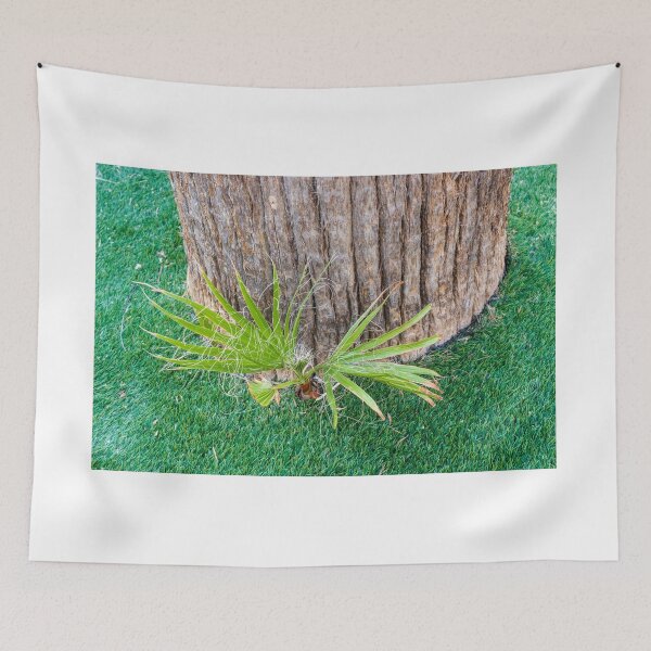 Item preview, Closeup of Palm Tree Trunk With New Shoots and Fibrous Leaves on Green Lawn designed and sold by Nmallia.