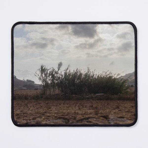 Item preview, Dry Field With Tall Reeds And Dramatic Cloudy Sky Over Rural Mediterranean Landscape designed and sold by Nmallia.