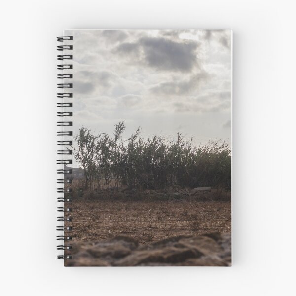 Item preview, Dry Field With Tall Reeds And Dramatic Cloudy Sky Over Rural Mediterranean Landscape designed and sold by Nmallia.