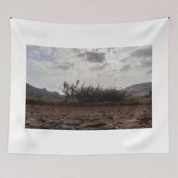 Item preview, Dry Field With Tall Reeds And Dramatic Cloudy Sky Over Rural Mediterranean Landscape designed and sold by Nmallia.