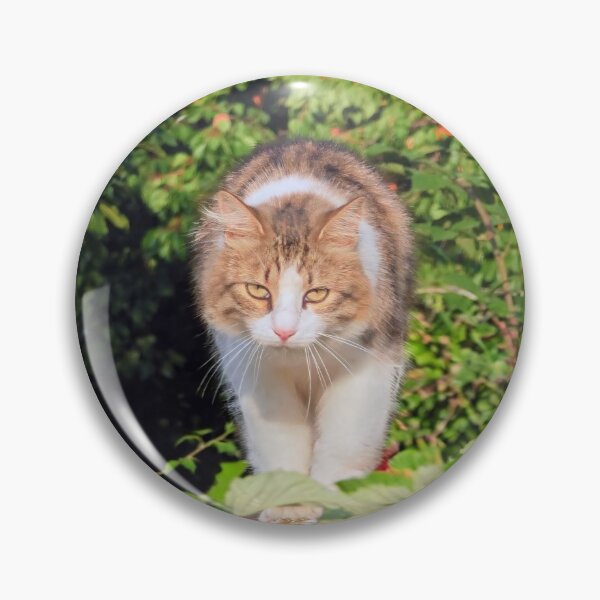 Item preview, Graceful Cat Walking Through a Lush Garden – Nature Cat Photography designed and sold by MB-CatPrints.