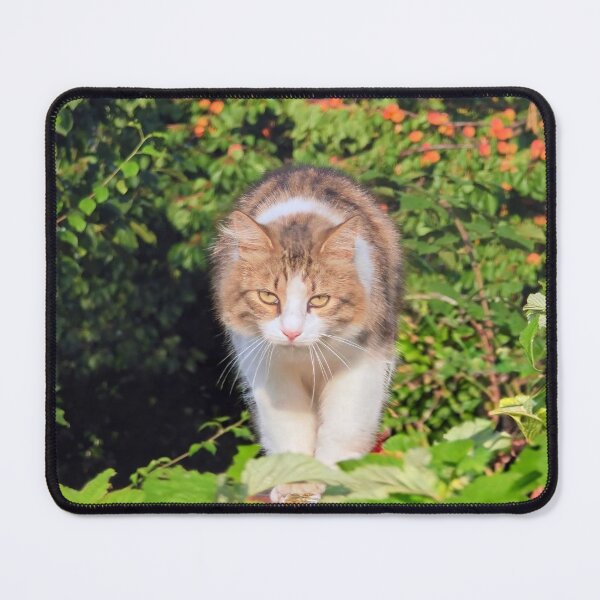 Item preview, Graceful Cat Walking Through a Lush Garden – Nature Cat Photography designed and sold by MB-CatPrints.