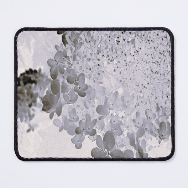 Item preview, Elegant Black and Gray Limelight Hydrangea designed and sold by myrubiogarden.