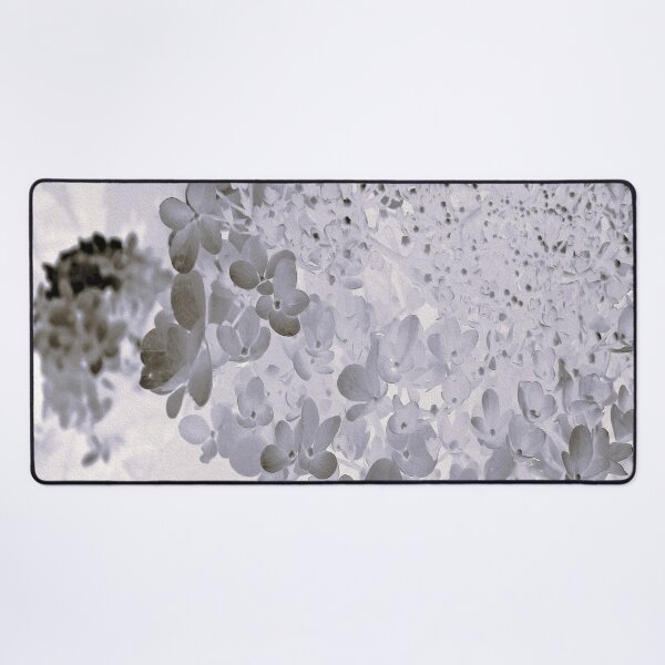 Item preview, Elegant Black and Gray Limelight Hydrangea designed and sold by myrubiogarden.