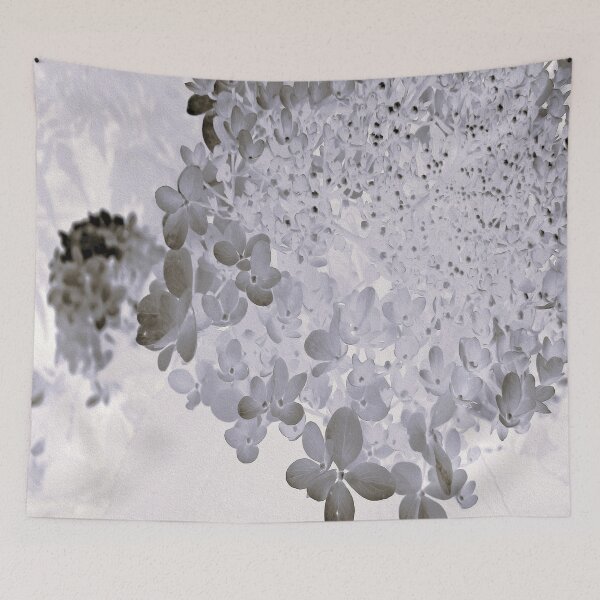 Item preview, Elegant Black and Gray Limelight Hydrangea designed and sold by myrubiogarden.