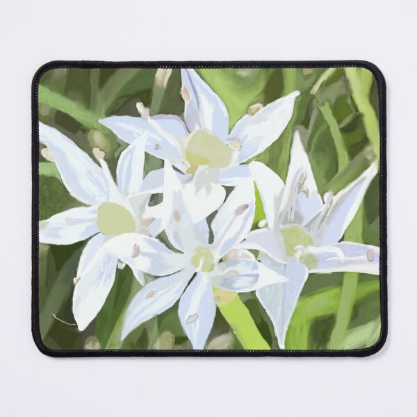 Item preview, Chinese Garlic Chive Blossom with Background designed and sold by Tera Spendlove.