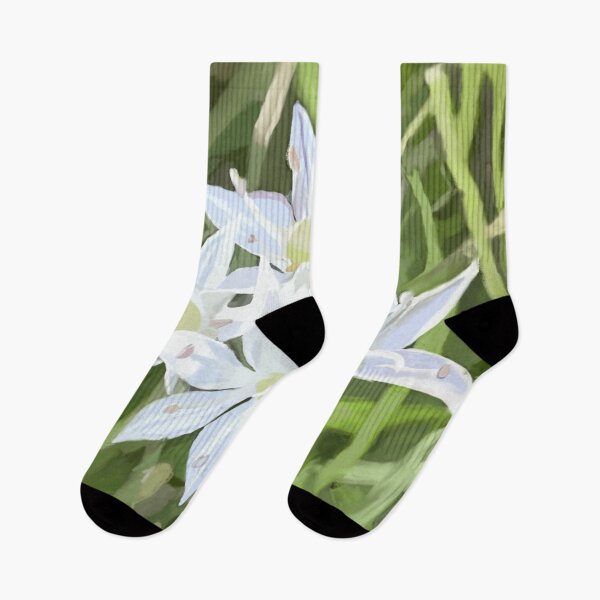 Item preview, Chinese Garlic Chive Blossom with Background designed and sold by Tera Spendlove.