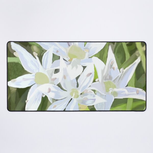 Item preview, Chinese Garlic Chive Blossom with Background designed and sold by Tera Spendlove.