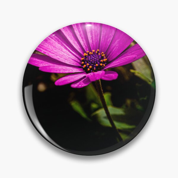 Artikelvorschau, Mitchell Park Kuppeln Blume entworfen und verkauft von Nick Caldwell.