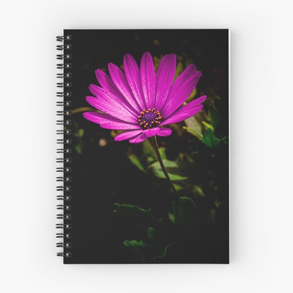 Aperçu de l'œuvre Mitchell Park Dômes Fleur créée et vendue par Nick Caldwell.