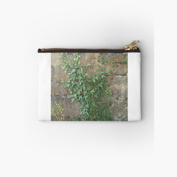 Item preview, English Ivy (Hedera helix) Climbing on Old Stone Wall in Natural Sunlight designed and sold by PhuongVoArt.