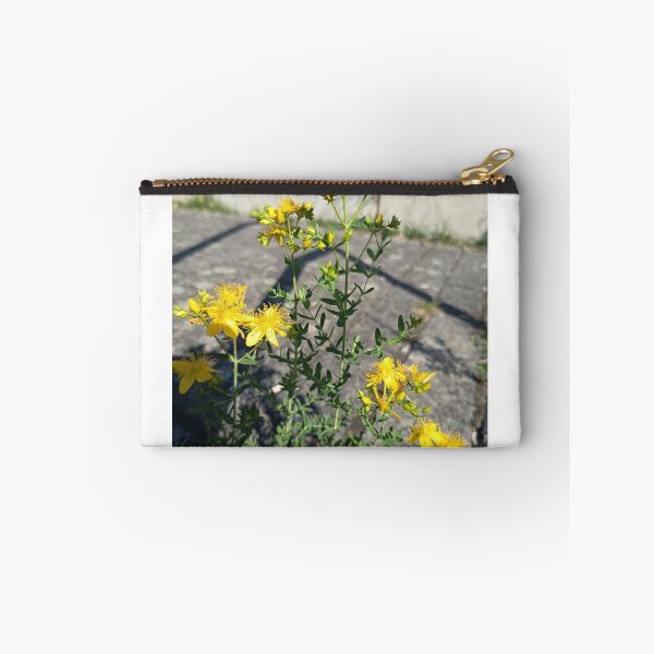 Item preview, Yellow St. John's Wort (Hypericum perforatum) Wildflower Blooming in Summer Sunlight designed and sold by PhuongVoArt.