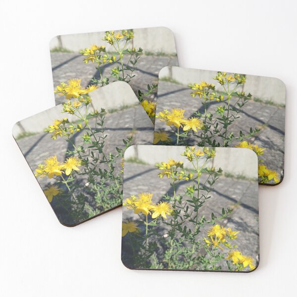 Item preview, Yellow St. John's Wort (Hypericum perforatum) Wildflower Blooming in Summer Sunlight designed and sold by PhuongVoArt.