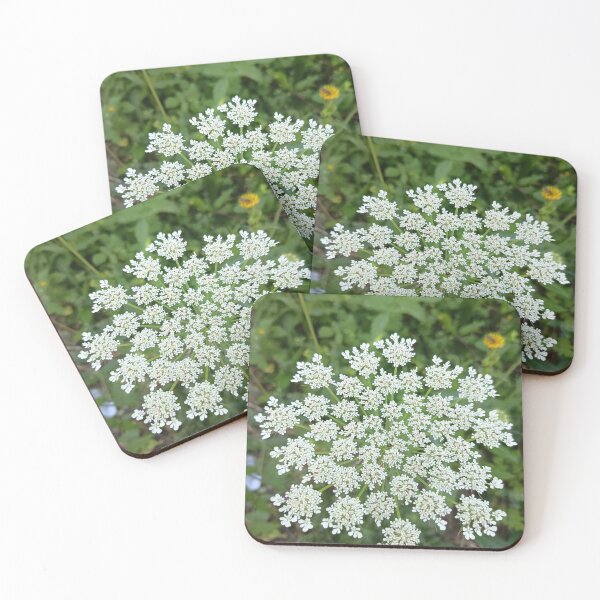 Item preview, Wild Queen Anne's Lace (Daucus carota) White Umbel Flower Close-Up in Summer Meadow designed and sold by PhuongVoArt.