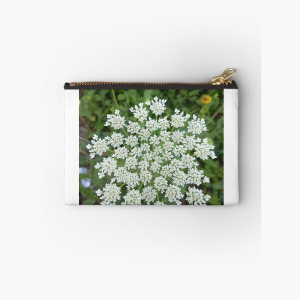 Item preview, Wild Queen Anne's Lace (Daucus carota) White Umbel Flower Close-Up in Summer Meadow designed and sold by PhuongVoArt.