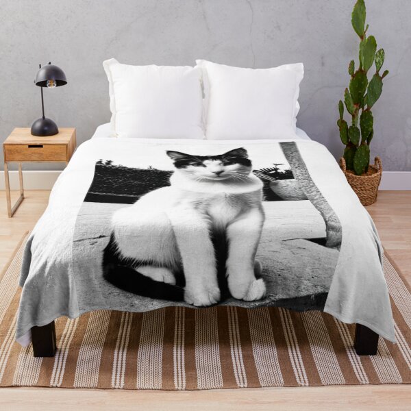 Item preview, Animals - Bicolor Cat in the Street, Urban Black and White Elegance designed and sold by World-Pets.