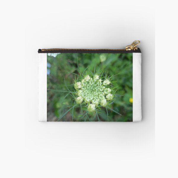 Item preview, Queen Anne's Lace (Daucus carota) Flower Bud with Delicate Green Bracts Close-Up designed and sold by PhuongVoArt.