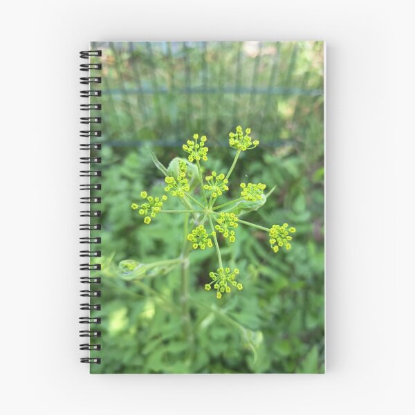 Item preview, Wild Fennel (Foeniculum vulgare) Flower Buds Close-Up with Selective Focus designed and sold by PhuongVoArt.