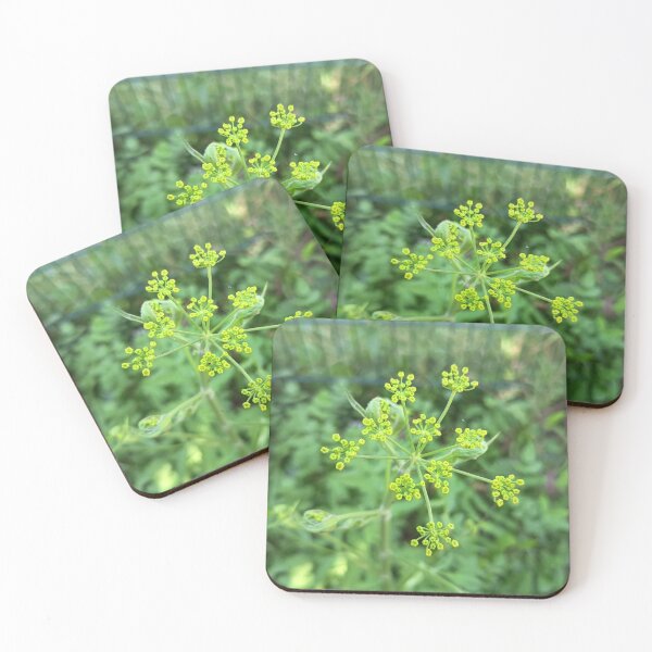 Item preview, Wild Fennel (Foeniculum vulgare) Flower Buds Close-Up with Selective Focus designed and sold by PhuongVoArt.