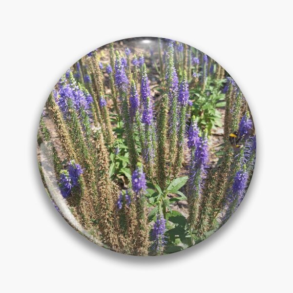 Item preview, Purple Speedwell (Veronica spicata) Flower Spikes Blooming in a Summer Garden designed and sold by PhuongVoArt.