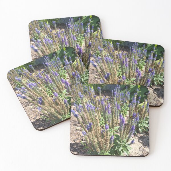Item preview, Purple Speedwell (Veronica spicata) Flower Spikes Blooming in a Summer Garden designed and sold by PhuongVoArt.