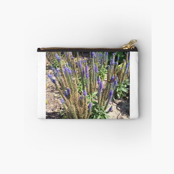 Item preview, Purple Speedwell (Veronica spicata) Flower Spikes Blooming in a Summer Garden designed and sold by PhuongVoArt.
