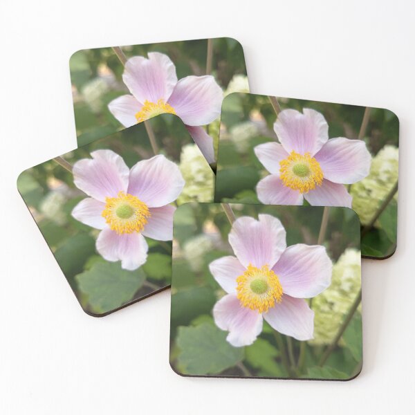 Item preview, Japanese Anemone (Anemone hupehensis) Pink Blossom Close-Up in Summer Garden designed and sold by PhuongVoArt.
