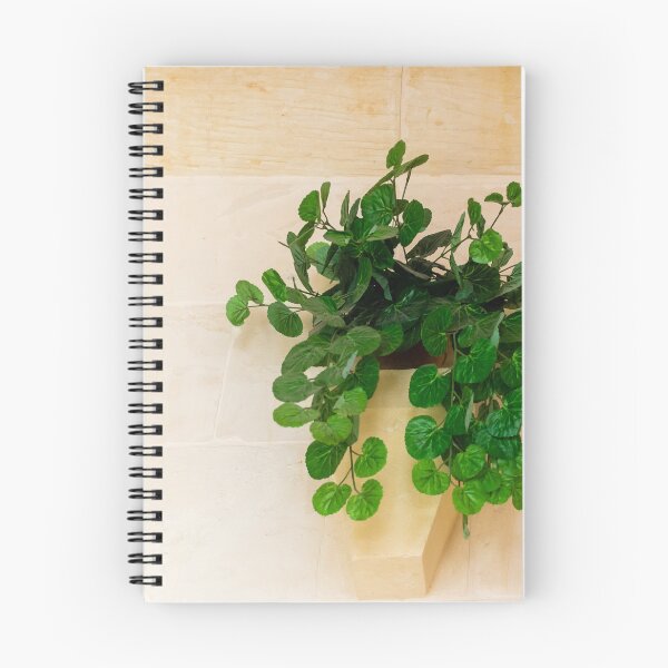 Item preview, Lush Green Hanging Plant Dripping From A Pot On A Pale Stone Wall For Interior Decor designed and sold by Nmallia.
