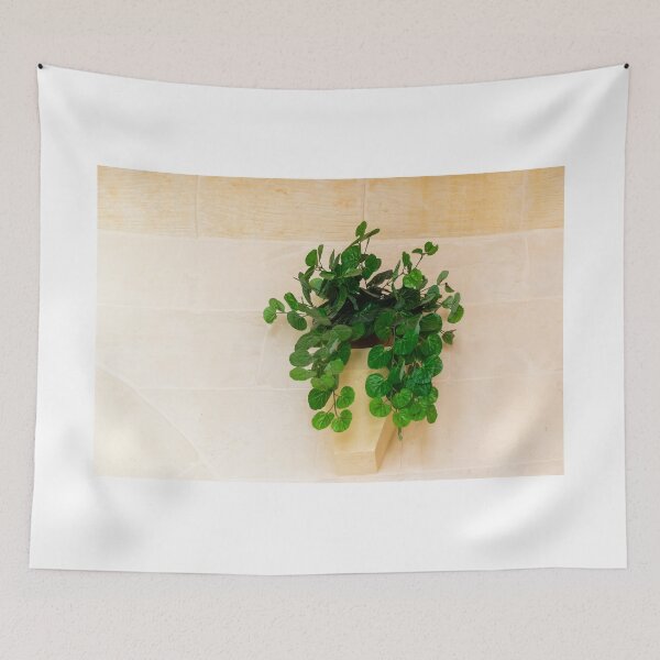 Item preview, Lush Green Hanging Plant Dripping From A Pot On A Pale Stone Wall For Interior Decor designed and sold by Nmallia.