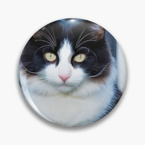 Item preview, Animals - Bicolor Cat, Intense Gaze and Perfect Symmetry designed and sold by World-Pets.