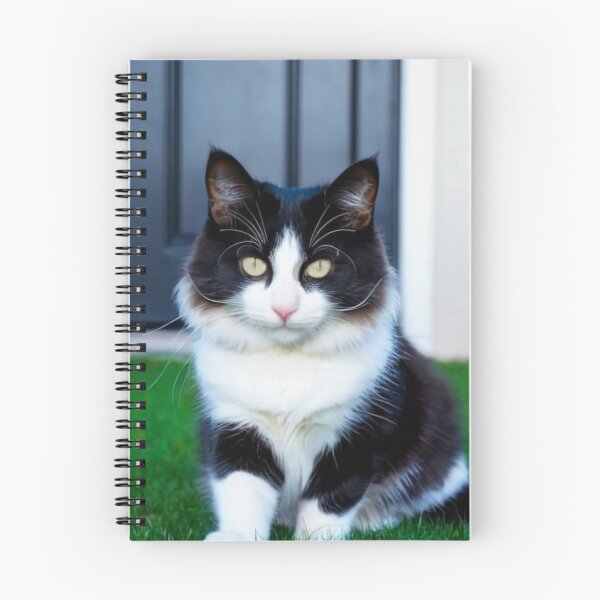 Item preview, Animals - Bicolor Cat, Intense Gaze and Perfect Symmetry designed and sold by World-Pets.