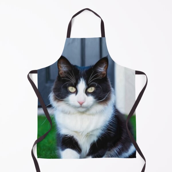 Item preview, Animals - Bicolor Cat, Intense Gaze and Perfect Symmetry designed and sold by World-Pets.