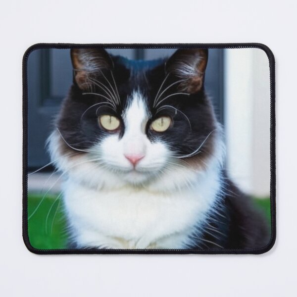 Item preview, Animals - Bicolor Cat, Intense Gaze and Perfect Symmetry designed and sold by World-Pets.