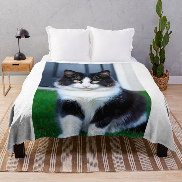 Item preview, Animals - Bicolor Cat, Intense Gaze and Perfect Symmetry designed and sold by World-Pets.