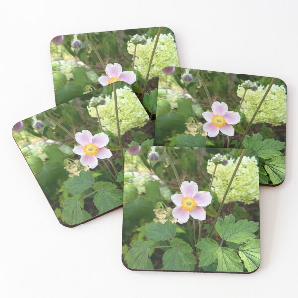 Item preview, Japanese Anemone (Anemone hupehensis) Blooming in a Lush Summer Garden designed and sold by PhuongVoArt.