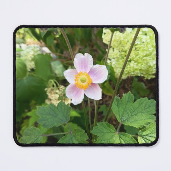 Item preview, Japanese Anemone (Anemone hupehensis) Blooming in a Lush Summer Garden designed and sold by PhuongVoArt.