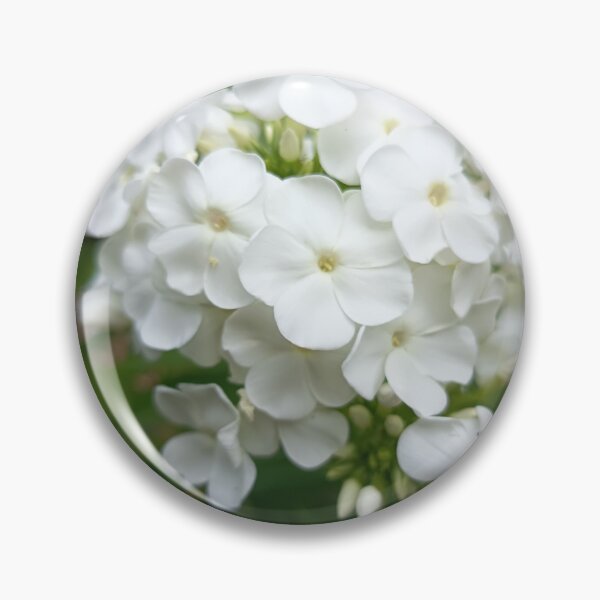 Item preview, White Garden Phlox Flowers in Bloom with Soft Green Bokeh Background designed and sold by PhuongVoArt.