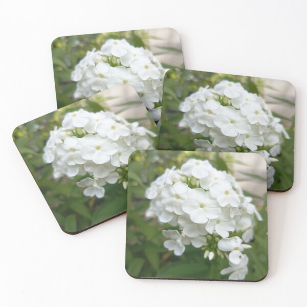 Item preview, White Garden Phlox Flowers in Bloom with Soft Green Bokeh Background designed and sold by PhuongVoArt.